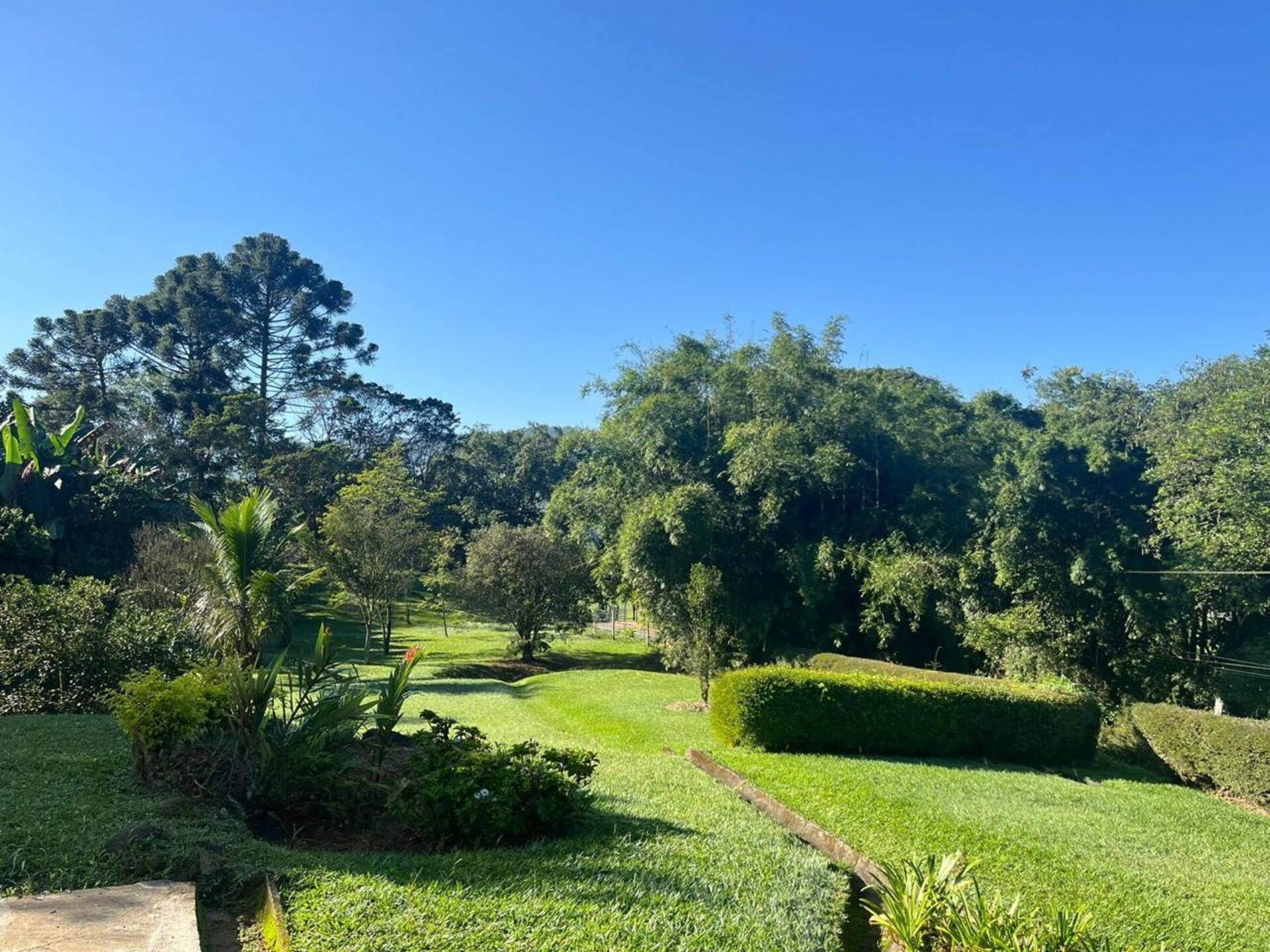 Jardim ensolarado da Casa Capelinha